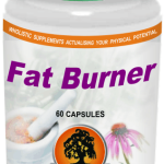 Fat Burner 60 caps - Willow