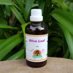 Olive leaf 100ml tincture - willow