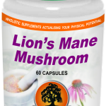 Lion's Mane Mushroom 500mg 60s - Willow