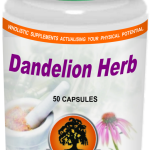 Dandelion Herb 50s - Willow
