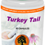 Turkey Tail Mushroom 500mg 60s - Willow